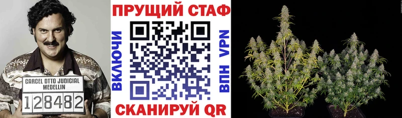 Где купить наркотики Невьянск КОКАИН  Каннабис  Меф мяу мяу  Амфетамин  Гашиш 