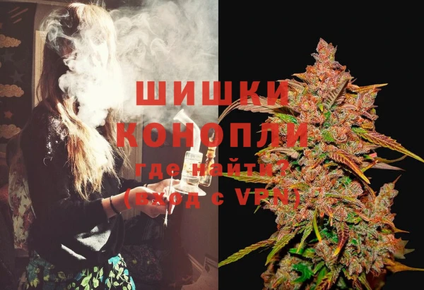 трава Белокуриха